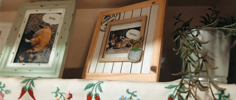 Pni Kuck Vendghz s Minifarm Hosszvlgy