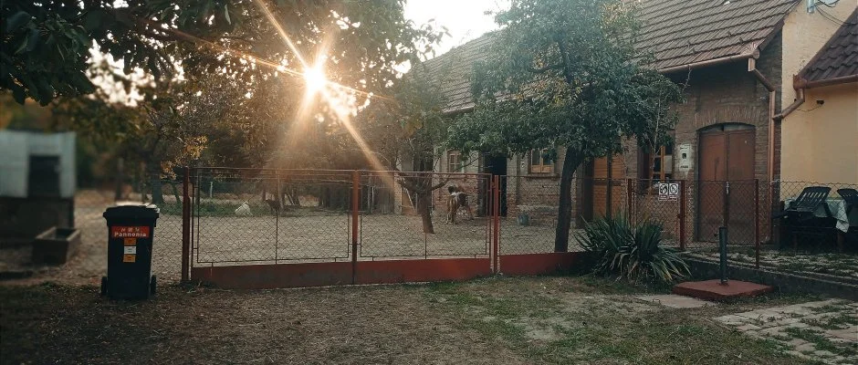 Pni Kuck Vendghz s Minifarm Hosszvlgy