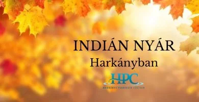 Indi�n ny�r (min. 2 �j)