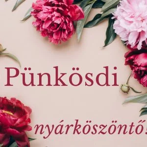 PSZ Hotel Beach Földvár Balatonföldvár - Pünkösd