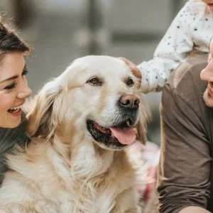 PSZ Hotel Beach Földvár Balatonföldvár - Mert együtt az igazi! Ne hagyd otthon házi kedvencedet! (min. 2 éj)