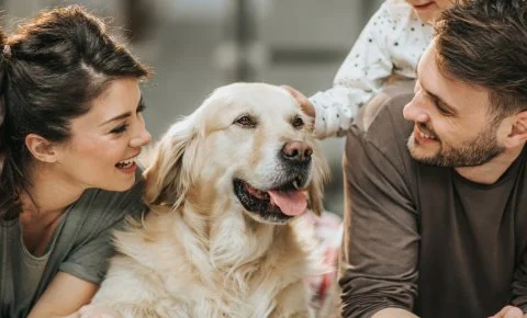 PSZ Hotel Beach Földvár Balatonföldvár - Mert együtt az igazi! Ne hagyd otthon házi kedvencedet!