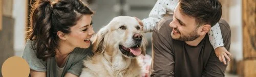 PSZ Hotel Beach Földvár