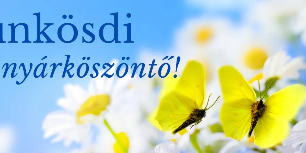 PSZ Hotel Beach F�ldv�r Balatonf�ldv�r