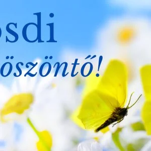 PSZ Hotel Beach Földvár Balatonföldvár - Pünkösd (min. 2 éj)