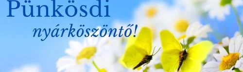 PSZ Hotel Beach Földvár