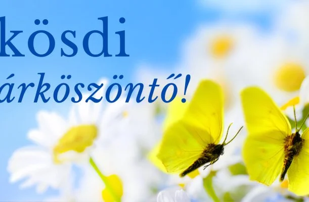 PSZ Hotel Beach Földvár Balatonföldvár PSZ Hotel Beach Földvár Balatonföldvár