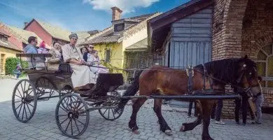 H�sv�t (min. 3 �j)