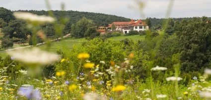 Rácz Tanya Orfű - Húsvéti hosszú hétvége Rácz Tanya Orfű - Húsvéti hosszú hétvége