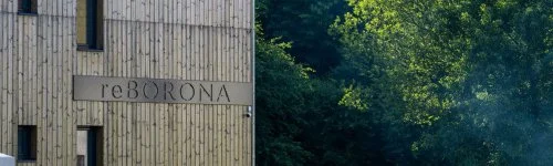 reBORONA Vend�gh�z �rs�g 