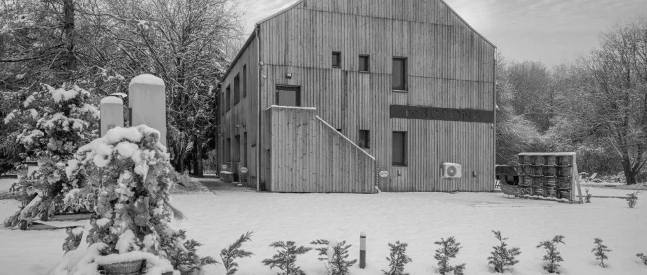 reBORONA Vendghz rsg riszentpter