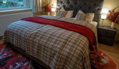 reBORONA Vendghz rsg riszentpter