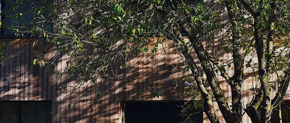 reBORONA Vendghz rsg riszentpter