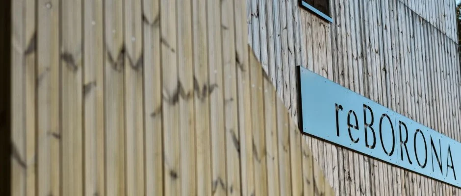 reBORONA Vendghz rsg riszentpter