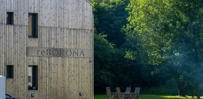 reBORONA Vendghz rsg - Napi rak