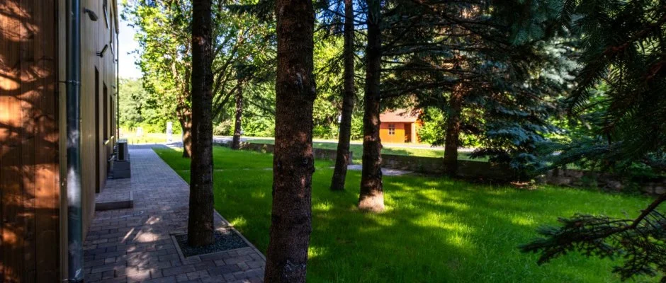 reBORONA Vendghz rsg riszentpter