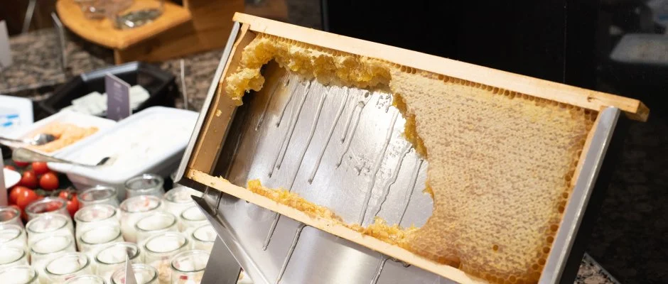 Lotus Therme Hotel & Spa Hvz