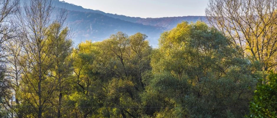 Royal Club Hotel Visegrd