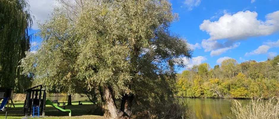 Sri Udvar Dunakiliti