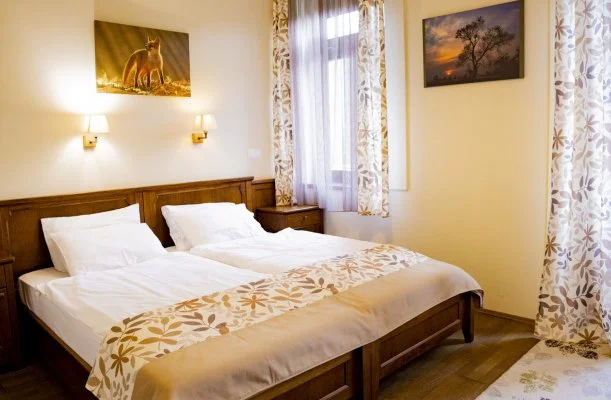 Sasrti Vadszkastly Almamellk