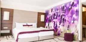 Ambient Hotel - M�jus 1.