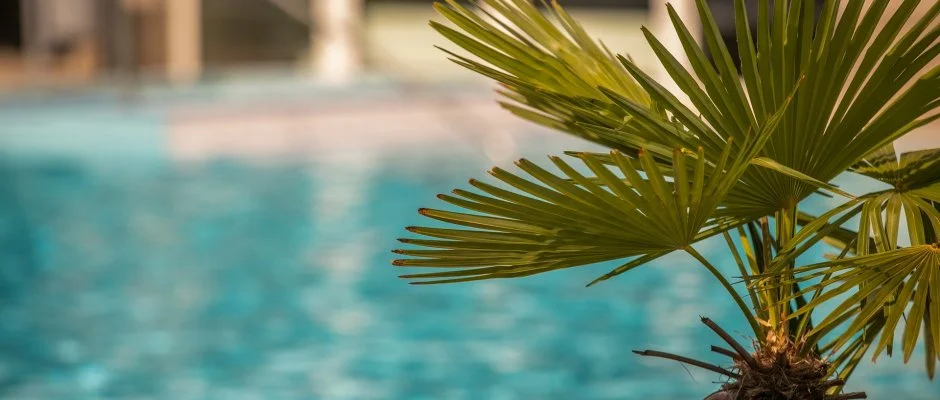 Ambient Hotel & ThermalSPA**** Sikonda