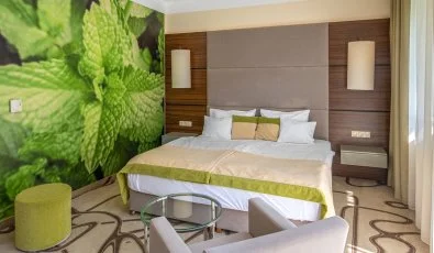 Ambient Hotel & ThermalSPA**** Sikonda