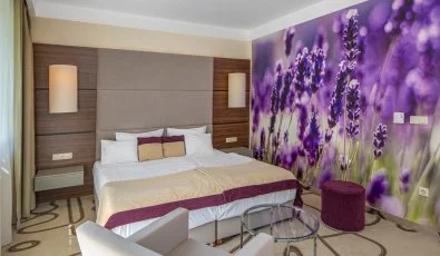 Ambient Hotel & ThermalSPA**** Sikonda