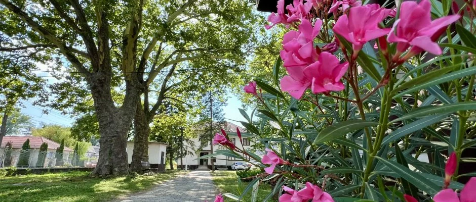 Sirly Hotel Balatonlelle