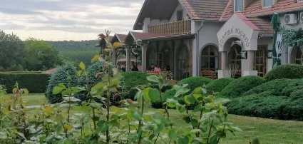 Sokor Fogad Sokorptka - Hsvti wellness