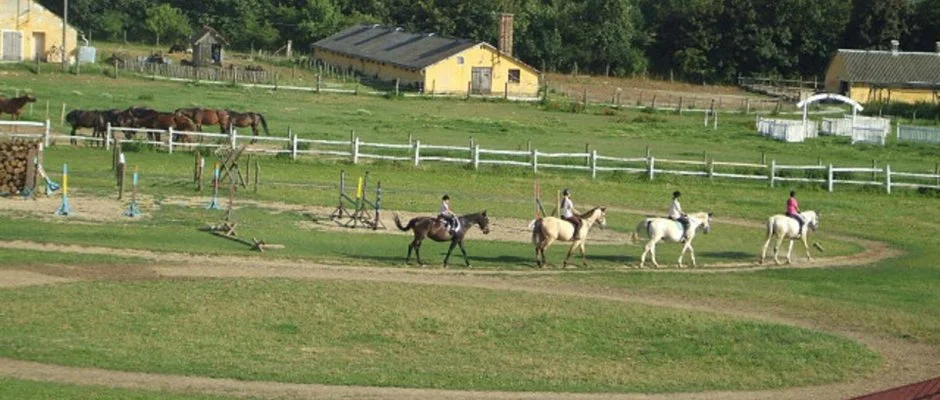 Sokor Fogad Sokorptka