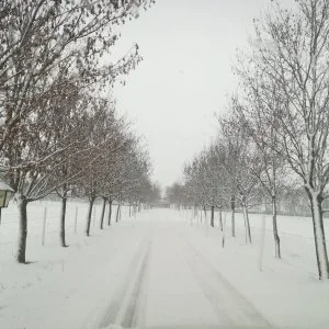 Sokoró Fogadó Sokorópátka - Két ünnep között