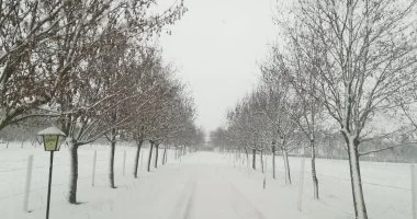 K�t �nnep k�z�tt (min. 2 �j)