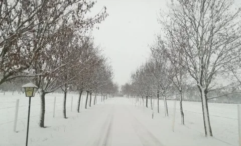Sokoró Fogadó Sokorópátka - Két ünnep között