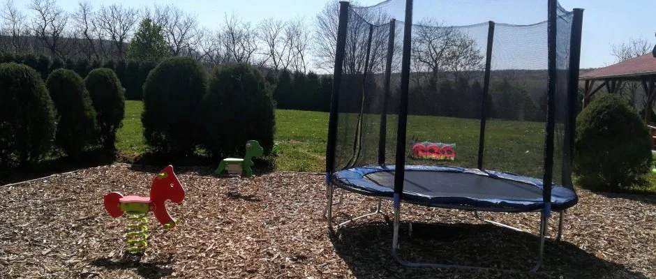 Sokor Fogad Sokorptka