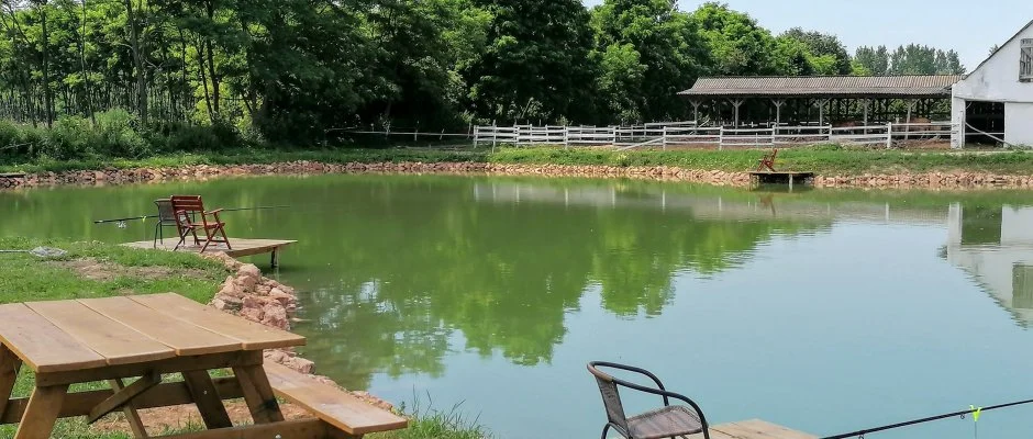 Sokor Fogad Sokorptka