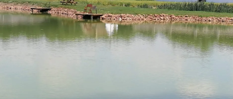 Sokor Fogad Sokorptka