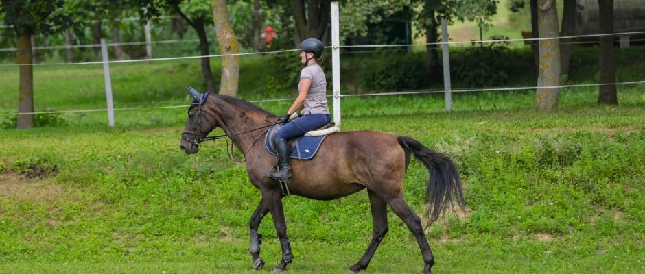 Sokor Fogad Sokorptka