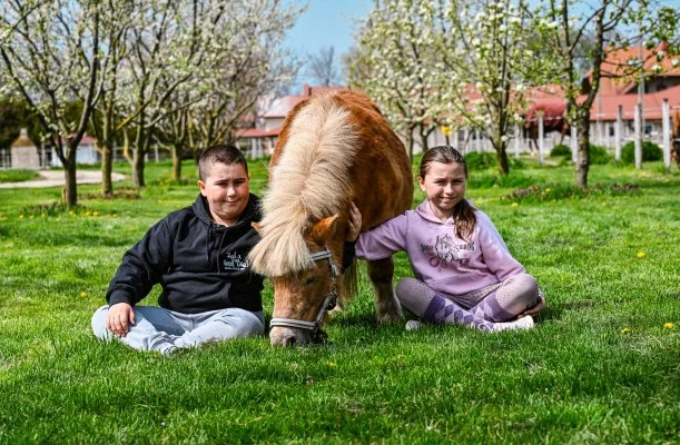 Sokor� Fogad� Sokor�p�tka