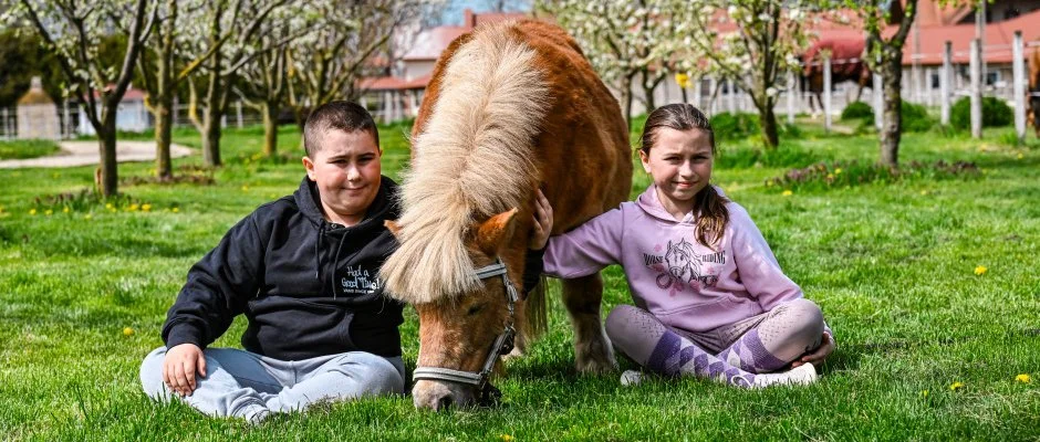 Sokor� Fogad� Sokor�p�tka