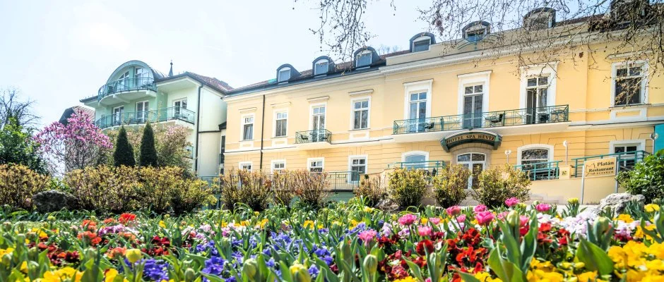 Hotel Spa H�v�z H�v�z