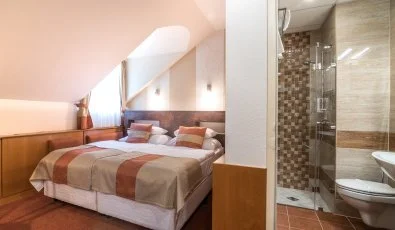 Hotel Spa H�v�z