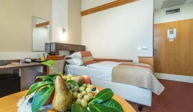 Hotel Spa H�v�z