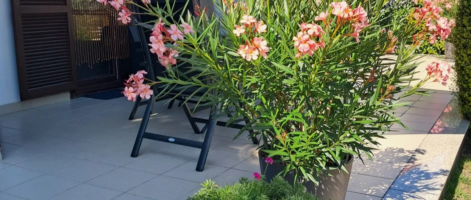 Sunshine Vendghz Balatonfenyves