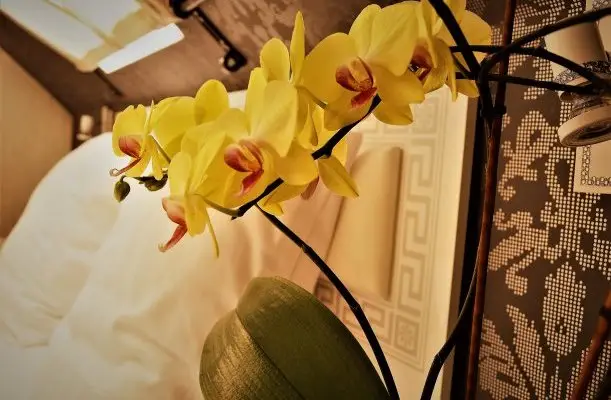 Sweet-Life Wellness Apartman Egerszalók Sweet-Life Wellness Apartman Egerszalók