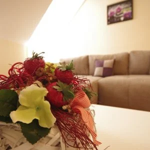 Szamócás Apartman Gyula - Őszi kikapcsolódás (min. 2 éj)