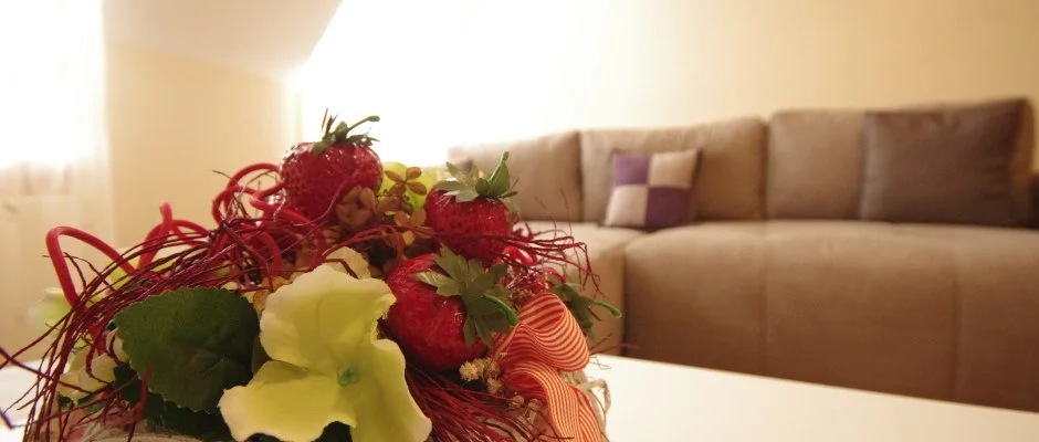 Szamcs Apartman Gyula