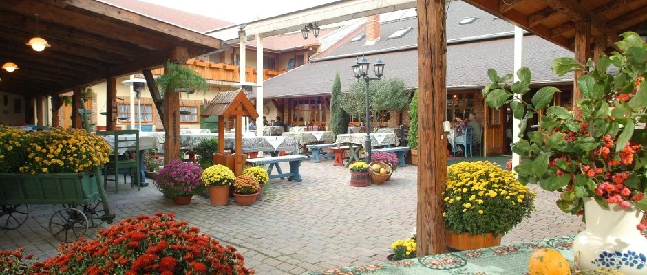 Szrcsa Hotel Szkesfehrvr