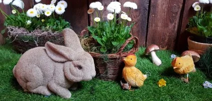 Sz�rcsa Hotel Sz�kesfeh�rv�r - Wellness csomagok h�sv�tra