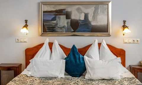 Szárcsa Hotel Székesfehérvár - Téli wellness lazulás